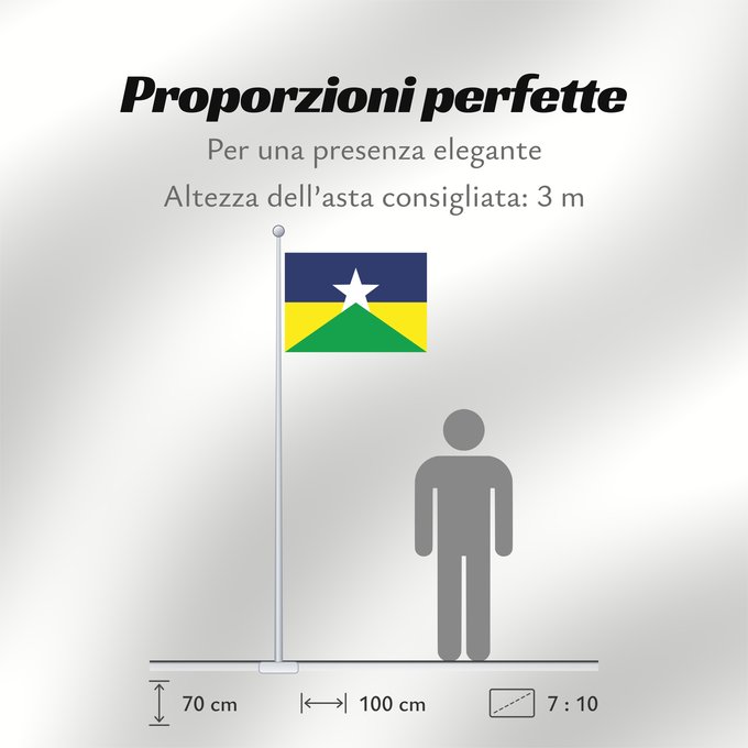 Proporzioni della bandiera: Rondônia