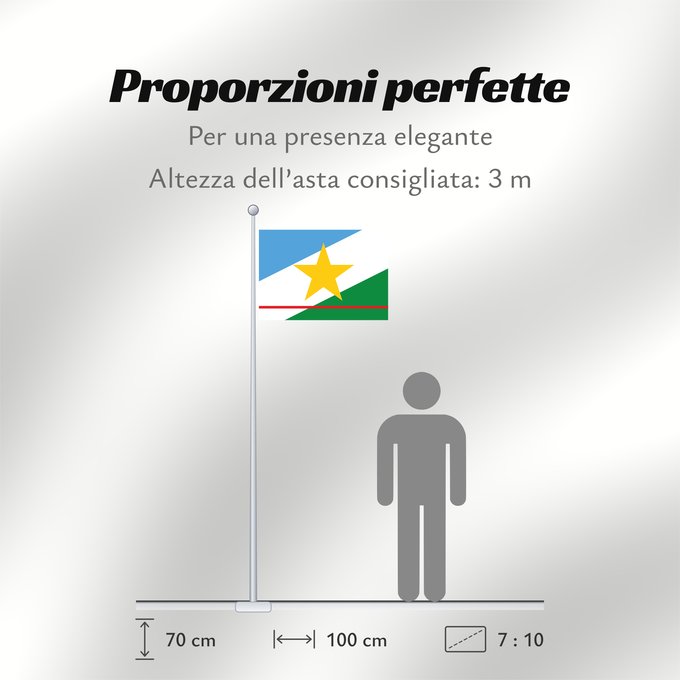 Proporzioni della bandiera: Roraima