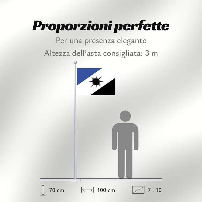Proporzioni della bandiera: Tocantins	State of Tocantins, Brazil	Estado do Tocantins, Brasil