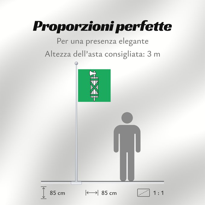 Proporzioni della bandiera: Canton of Sankt Gallen Canton of St. Gallen Saint-Gall San Galo o San Gall St. Gallen St. Gallen Canton of Sankt Gallen Saint Gallen