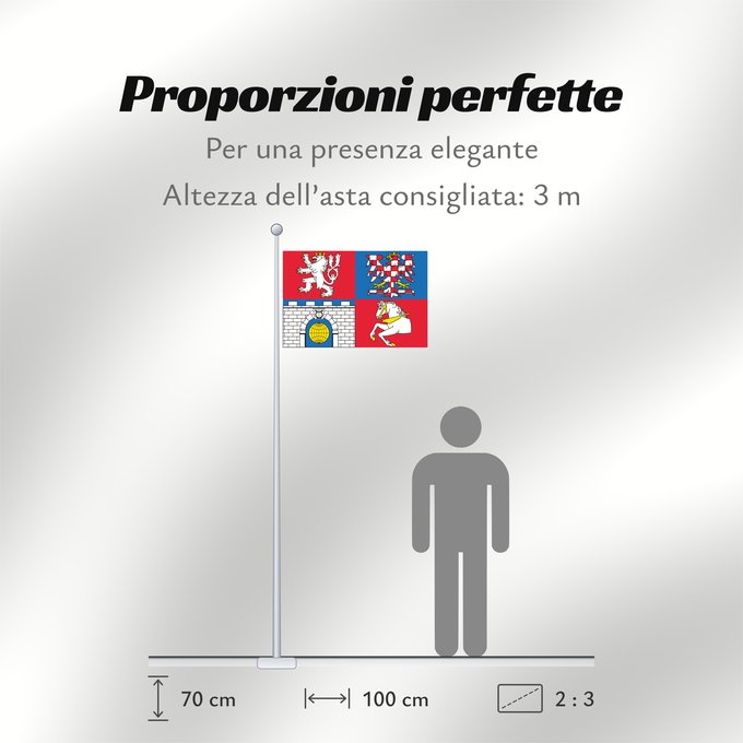 Proporzioni della bandiera: Pardubice Region	Région de Pardubice	Región de Pardubice	Region Pardubice	Pardubice Regione