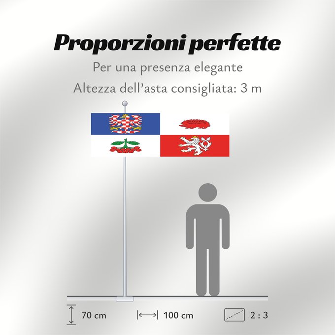 Proporzioni della bandiera: Vysocina Region	Vysočina Region	Région de Vysočina	Región de Vysočina	Region Vysočina