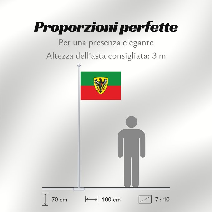 Proporzioni della bandiera: Esslingen am Neckar (Region Stuttgart)