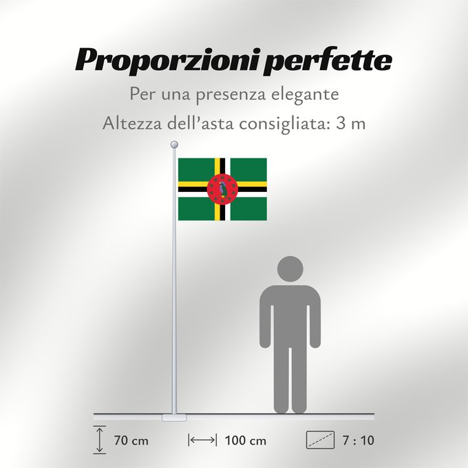 Proporzioni della bandiera: Dominica Dominique Dominica lipp Dominican ドミニカ国の国旗 Флаг Доминики Dominike Dominicas