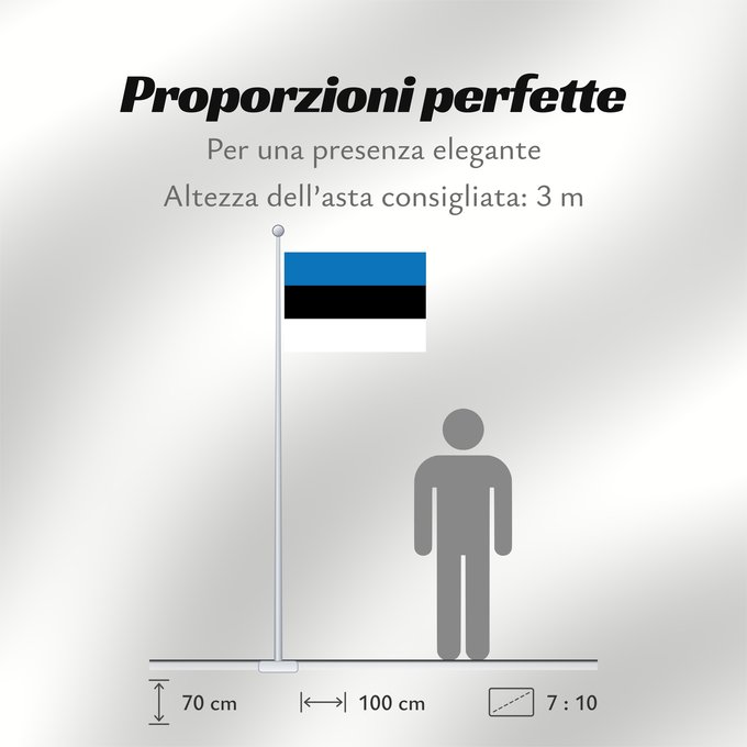 Proporzioni della bandiera: Estonia L Estonie Estland Estone Estónia Estonii Сцяг Эстоніі Национално знаме на Естония Estonská vlajka Σημαία της Εσθονίας Eesti lipp پرچم کشور استونی Viron HEastóine Észtország エストニアの国旗 ესტონეთის დროშა Estijos Igaunijas Знаме на Естонија Estoniei Флаг
