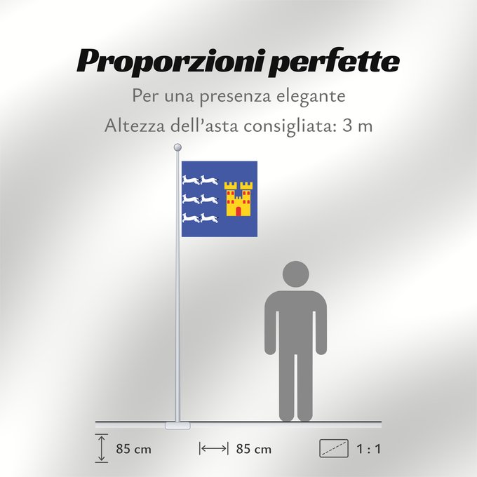 Proporzioni della bandiera: Oulun lääni