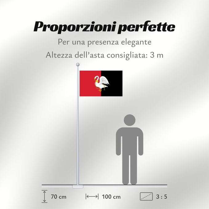 Proporzioni della bandiera: Buckinghamshire