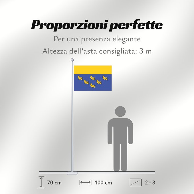Proporzioni della bandiera: West Sussex