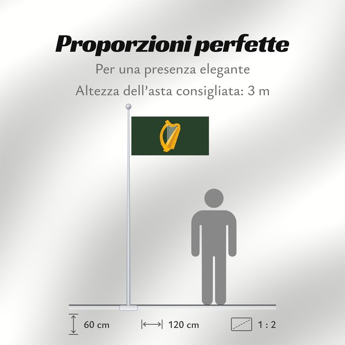 Proporzioni della bandiera: Leinster	W Leinster