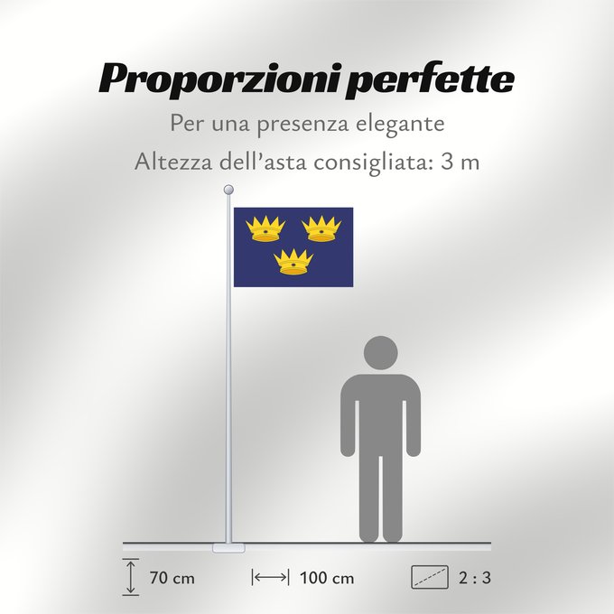 Proporzioni della bandiera: Munster
