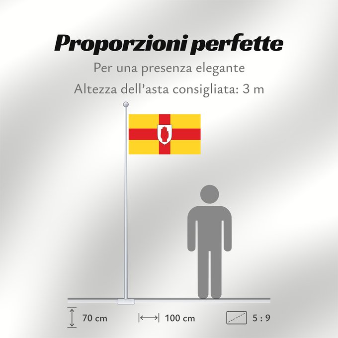 Proporzioni della bandiera: Ulster Ulster heraldic banner of traditional coat of arms of the province Úlster