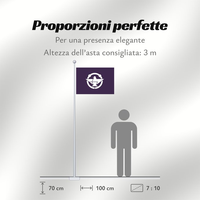 Proporzioni della bandiera: Ibaraki