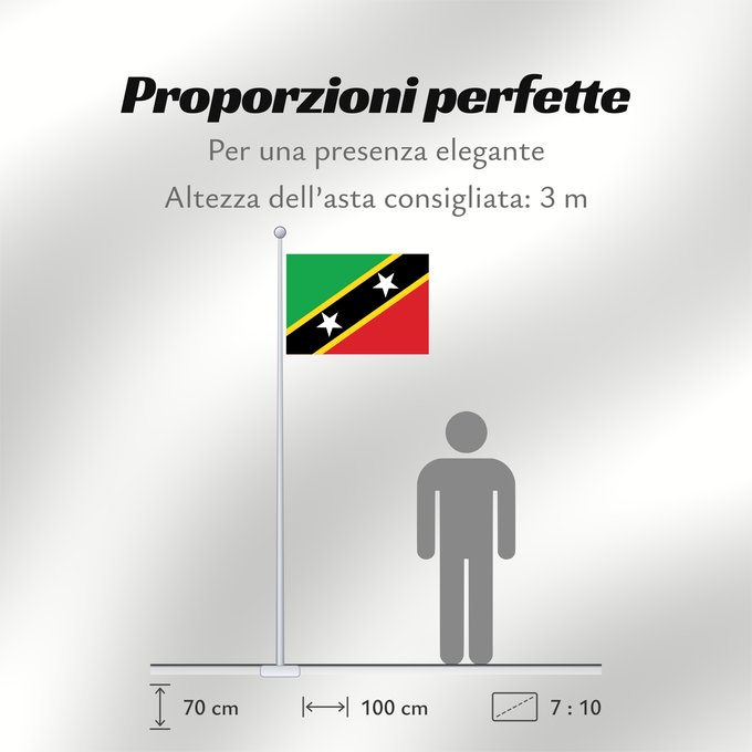 Proporzioni della bandiera: Saint Kitts and Nevis Saint-Christophe-et-Niévès San Cristóbal y Nieves St. Kitts und Nevis Saint Kitts e Nevis Saint Kitts a Nevis Shan Críostóir-Nimheas Sen Kitts ha Nevis Флаг Сент-Китса и Невиса Saunt Kitts an Nevis Saint Kittsa in Nevisa