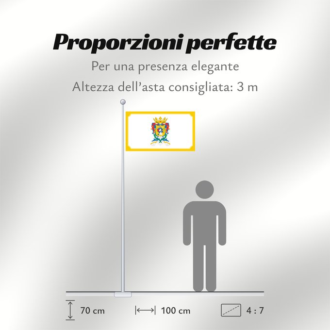 Proporzioni della bandiera: Guanajuato Guanajuato