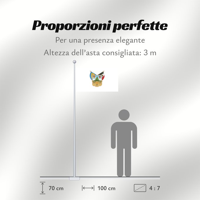 Proporzioni della bandiera: Hidalgo hidalgo y fidalgo