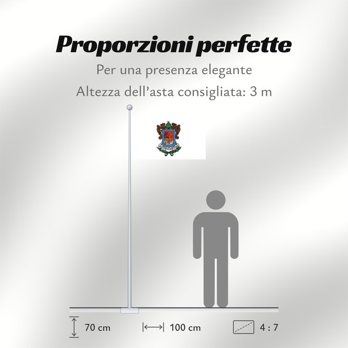 Proporzioni della bandiera: Michoacan	Michoacán