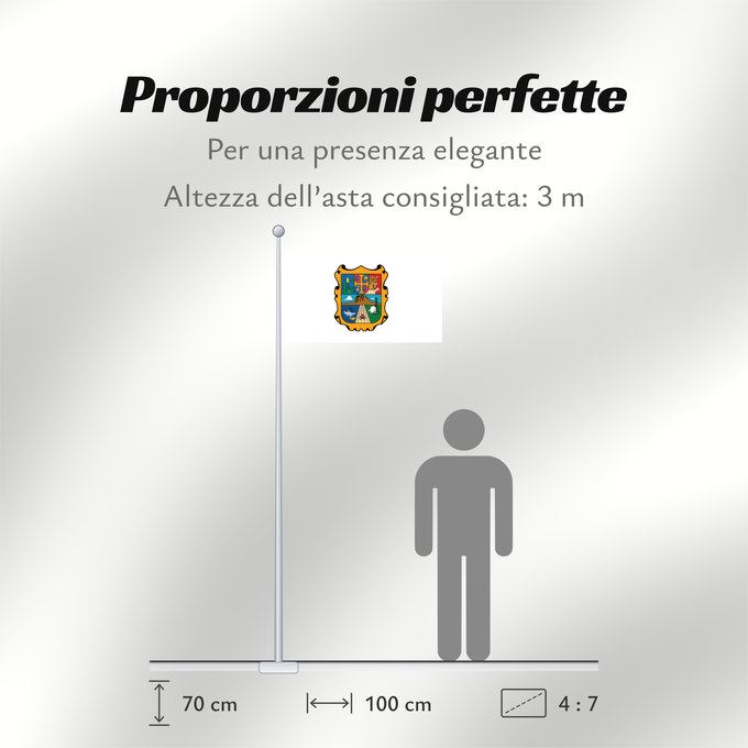 Proporzioni della bandiera: Tamaulipas