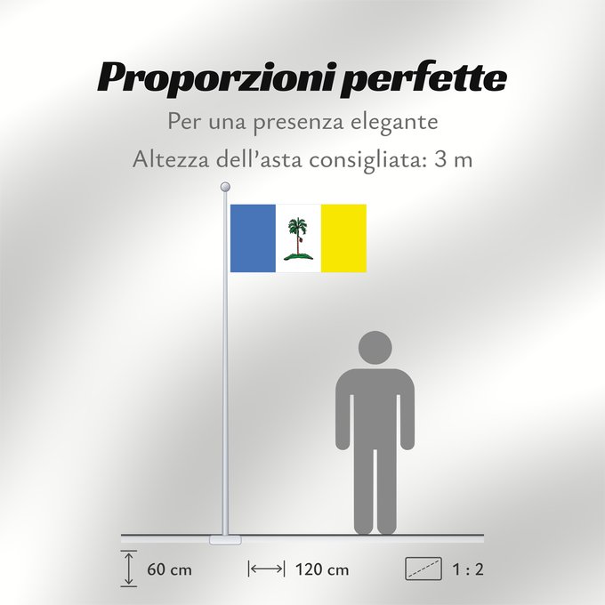 Proporzioni della bandiera: Pulau Pinang