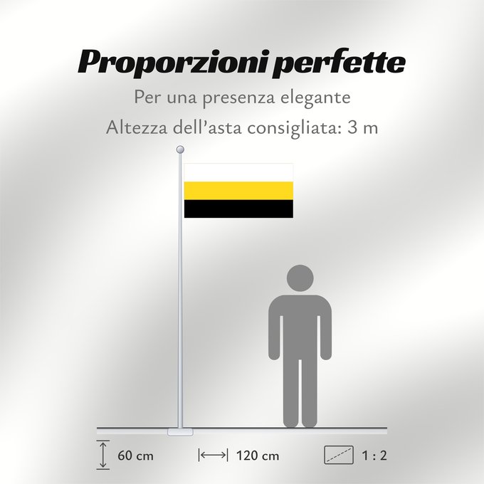 Proporzioni della bandiera: Perak Malaysian state of Perak