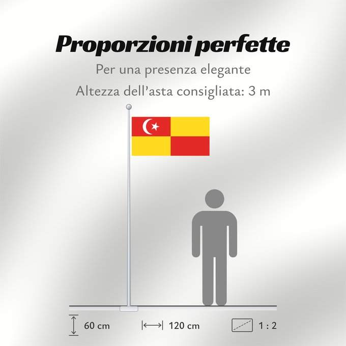 Proporzioni della bandiera: Selangor	Selangor 	Malaysian state Selangor