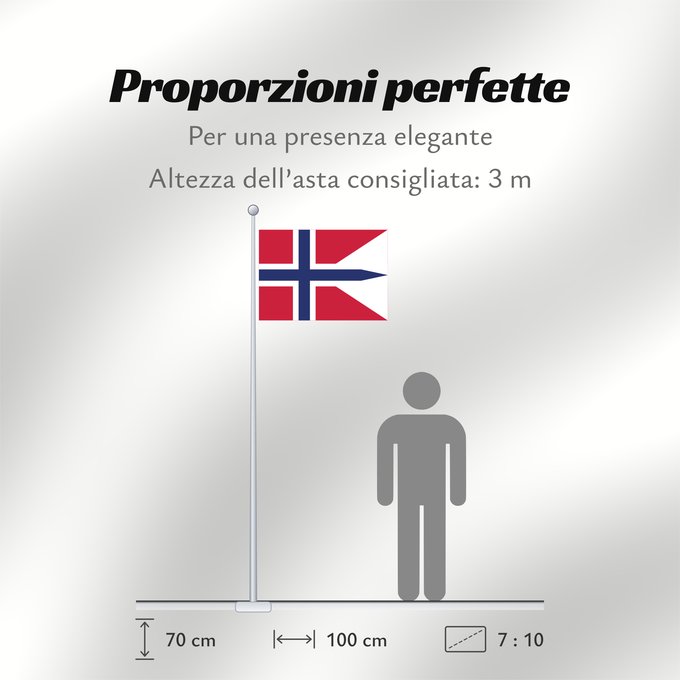 Proporzioni della bandiera: Norway	Norvège	Noruega	Norwegen	Norvegia	Noorwegen	Norwegii	Þjóðfáni Noregs	Banniel Norvegia	Norska	Norwy	Norges	Norvegio	Noregs	Norveške	Norski fáninn	Norvegiae	Norges flagg	Det norske flagget	Norgga leavga	Stän Norgäna