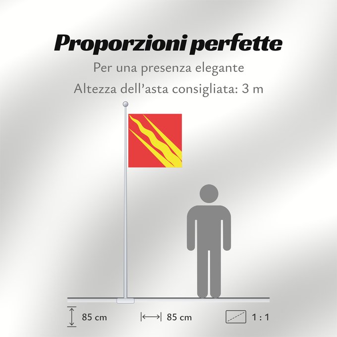 Proporzioni della bandiera: Østfold County of Østfold, Norway comté d’Østfold