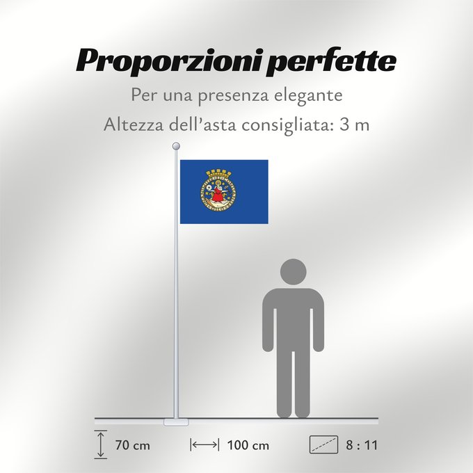 Proporzioni della bandiera: Oslo