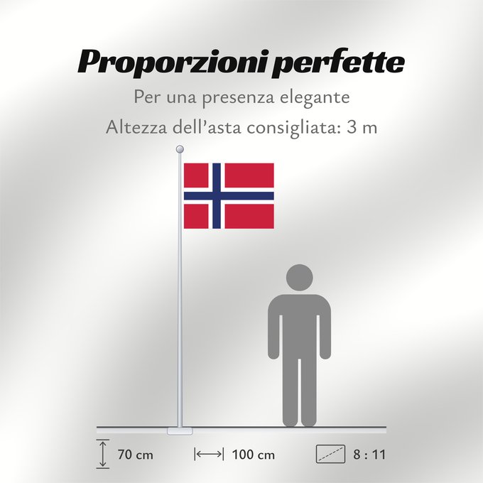 Proporzioni della bandiera: Svalbard
