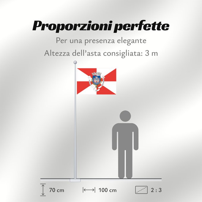 Proporzioni della bandiera: Santarém