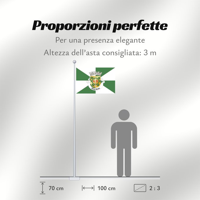 Proporzioni della bandiera: Vila Real