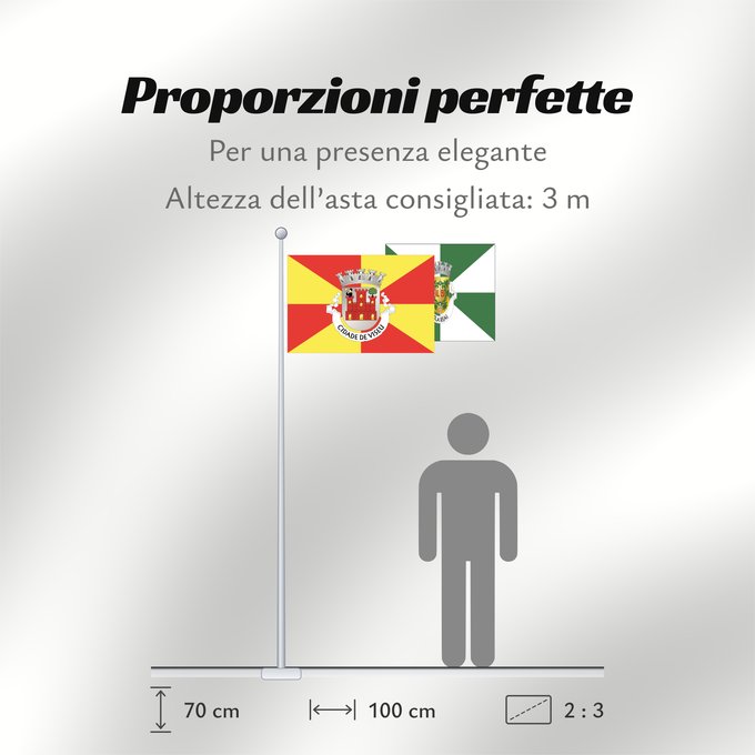 Proporzioni della bandiera: Viseu