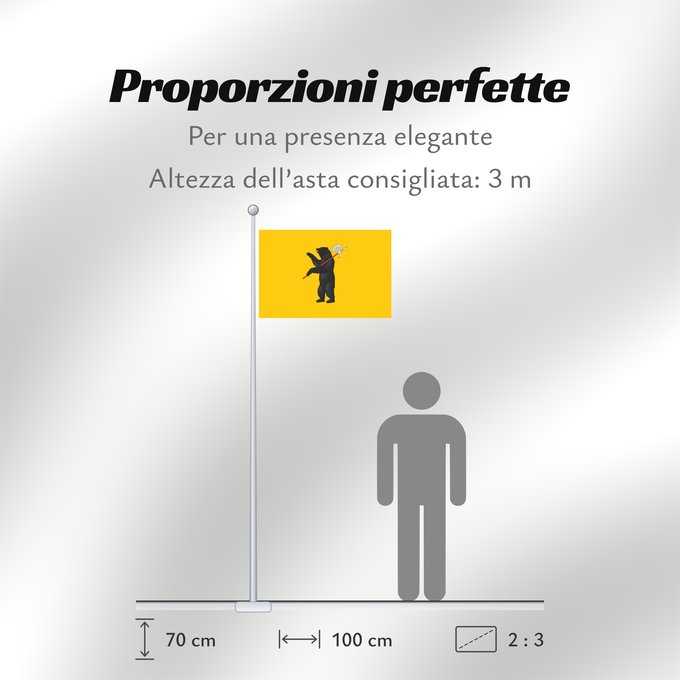Proporzioni della bandiera: Yaroslavl Oblast Oblast de Iaroslavl Óblast de Yaroslavl Oblast Jaroslawl Флаг Ярославской области