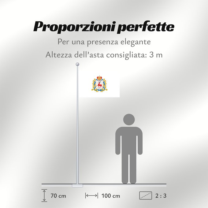 Proporzioni della bandiera: Nizhny Novgorod Region Nizhny Novgorod Region, Russia Oblast de Nijni Novgorod Óblast de Nizhny Nóvgorod Oblast Nischni Nowgorod Nizhny Novgorod Oblast Флаг Нижегородской области