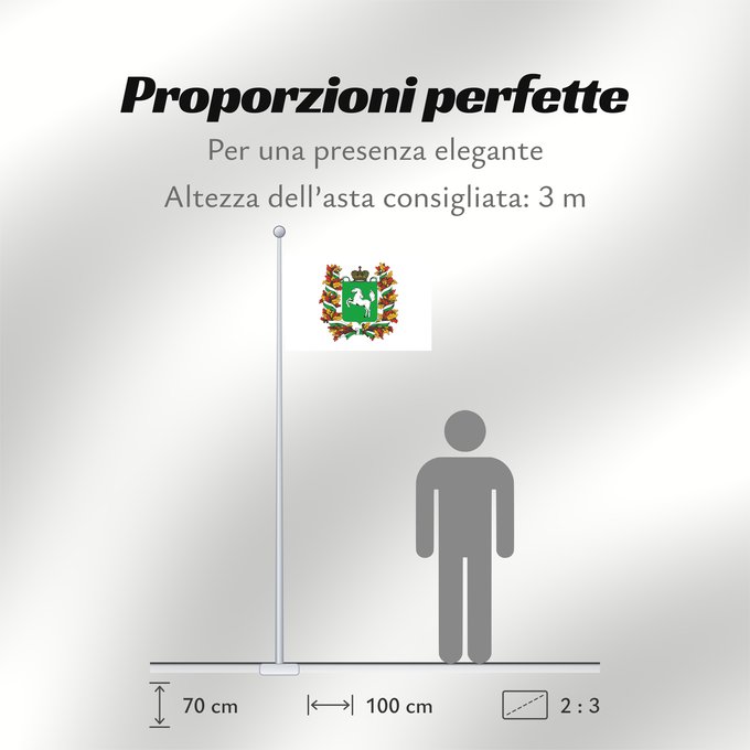Proporzioni della bandiera: Tomskaya oblast'