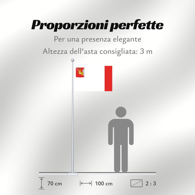 Proporzioni della bandiera: Vologda Oblast	Vologda Oblast 	Oblast de Vologda	Óblast de Vólogda	Oblast Wologda