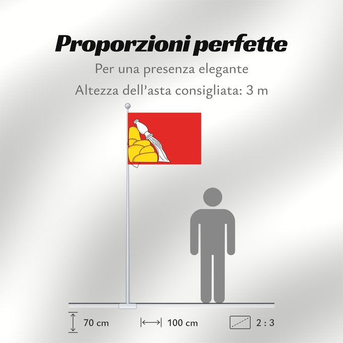 Proporzioni della bandiera: Voronezh Oblast Voronezh Oblast of Russia Oblast de Voronej Óblast de Vorónezh Oblast Woronesch Флаг Воронежской области Россия Прапор Воронезької області Росія