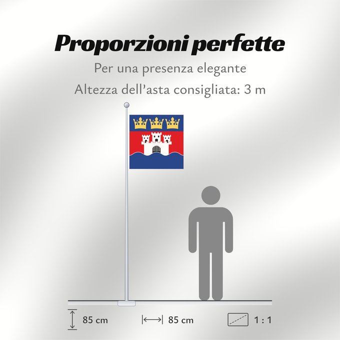 Proporzioni della bandiera: Jönköpings län vapenflagga	Jönköping County in Sweden	Jönköping	Jönköpings läns vapenflagga