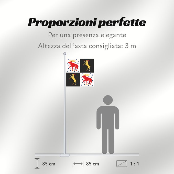 Proporzioni della bandiera: Gävleborgs län vapenflagga	Gävleborg County in Sweden	comté de Gävleborg	Gävleborg	Gävleborgs län	Gävleborg County	Gävleborgs läns vapenflagga