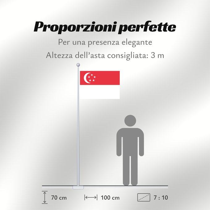 Proporzioni della bandiera: Singapore Singapour Singapur Singapuru علم سنغافورة Singapuro Singapura Флаг Сингапура Singapurja சிங்கப்பூரி்ன் கொடி 新加坡国旗