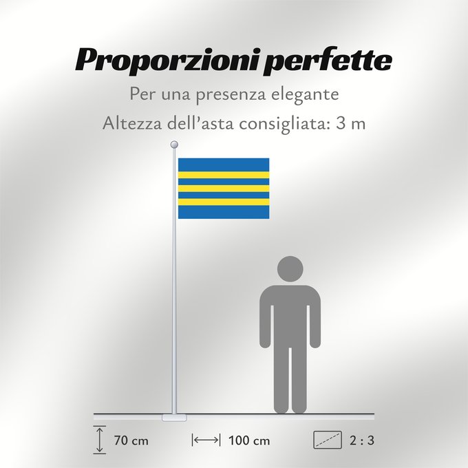 Proporzioni della bandiera: Trnavsky vlajka	Trnava Region	Région de Trnava	Región de Trnava	Trnava	Trnava Regione