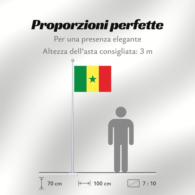 Proporzioni della bandiera: Senegal	Sénégal	Senegalo	پرچم سنگال	Senegala