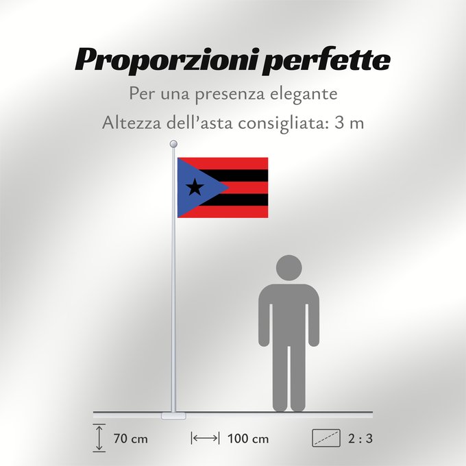 Proporzioni della bandiera: Puerto Rico