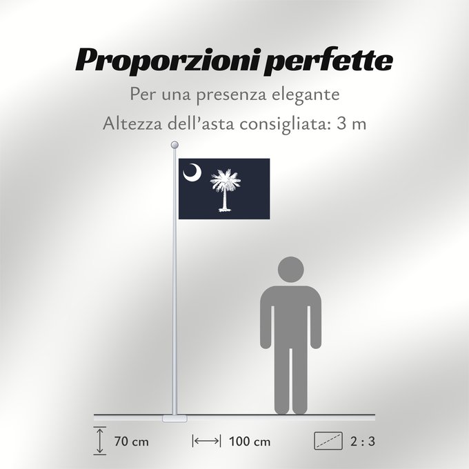 Proporzioni della bandiera: South Carolina	Caroline du Sud	Carolina del Sur	Carolina del Sud	علم كارولاينا الجنوبية	ᏐᎦᎴᏂ ᎦᏓᏘ	Ka hae Kalolaina Hema	Carolinae Meridionalis	Shádiʼááhjí Kééláanah Hahoodzo bidah naatʼaʼí	Флаг Южной Каролины	Američke savezne države Južne Karoline