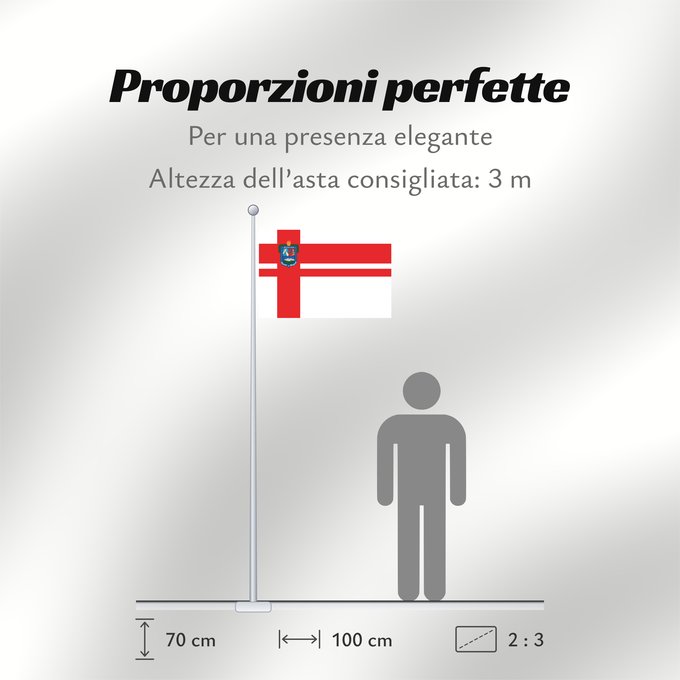 Proporzioni della bandiera: Florida Department	Florida