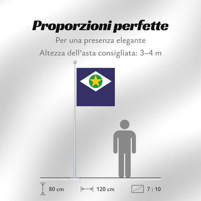 Proporzioni della bandiera: Mato Grosso State of Mato Grosso, Brazil Mato Grueso Mato Grosso, Brasil