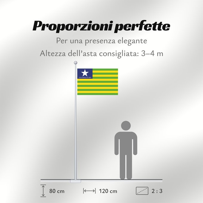 Proporzioni della bandiera: Piauí