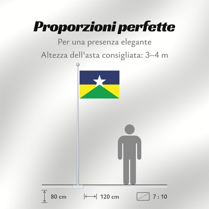 Proporzioni della bandiera: Rondônia