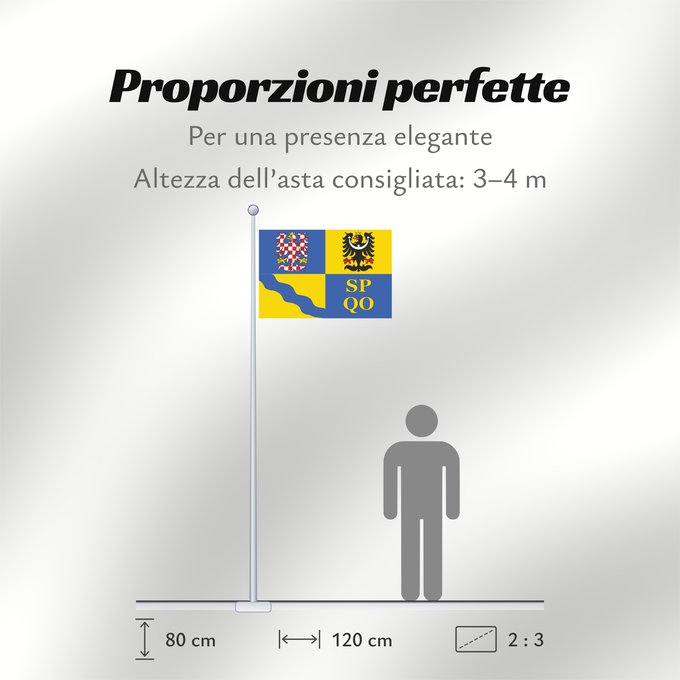 Proporzioni della bandiera: Olomouc Region	Région d'Olomouc	Región de Olomouc	Region Olomouc	Olomouckého kraje