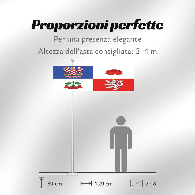 Proporzioni della bandiera: Vysocina Region	Vysočina Region	Région de Vysočina	Región de Vysočina	Region Vysočina