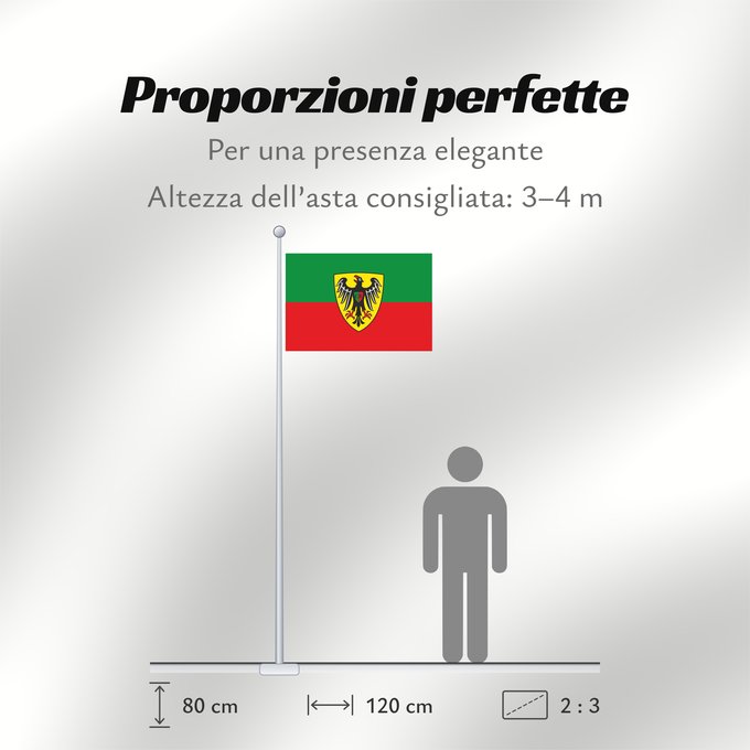 Proporzioni della bandiera: Esslingen am Neckar (Region Stuttgart)